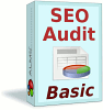 Služba SEO Audit Basic