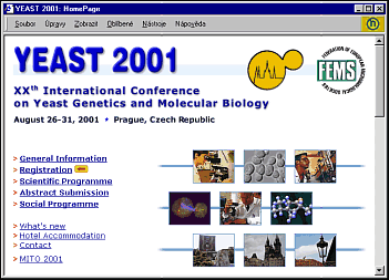 YEAST 2001, home page